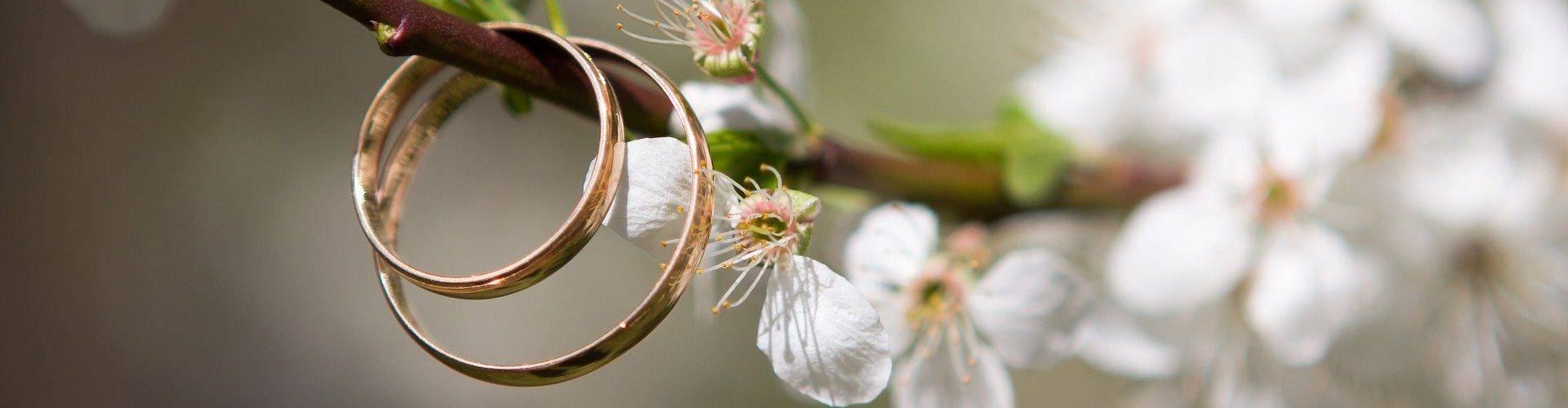 Quelle: Bild von <a href="https://pixabay.com/de/users/Bairyna-4585533/?utm_source=link-attribution&utm_medium=referral&utm_campaign=image&utm_content=3369645">Bairyna</a> auf <a href="https://pixabay.com/de/?utm_source=link-attribution&utm_medium=referral&utm_campaign=image&utm_content=3369645">Pixabay</a>